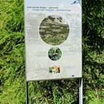 Infotafel auf dem Weg zur Vallmingalm