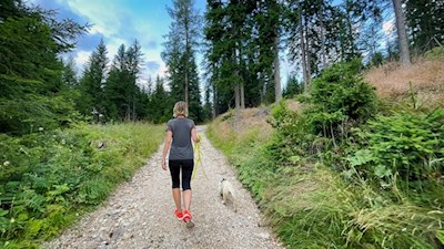 Wandern mit Hund zur Frommeralm