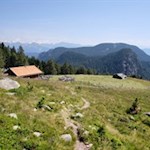 Inmitten einer aussichtsreichen Lichtung liegt die Zirmaitalm