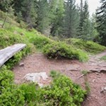 Unterwegs laden einzelne Bänke zur friedlichen Zwischenrast ein