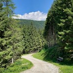 Sanft schlängelt sich der Weg zur Bergalm