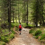 Auf dem Rückweg zum Parkplatz