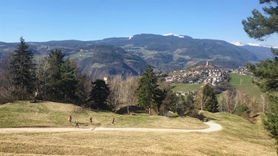 Sanft-schlängelt-sich-der-Wanderweg-durch-die-Landschaft