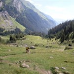 Der abgeschiedene Anstieg zur Klammalm