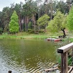 Der Völser Weiher zählt zu den saubersten Badeseen Italiens