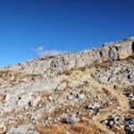 Una-bellezza-naturale-e-robusta-il-Setsas-indipendente