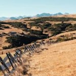 Fernab des städtischen Treibens, unterwegs auf der Villanderer Alm
