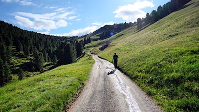 Der Weg zur Stöfflhütte führt durch malerische Almwiesen