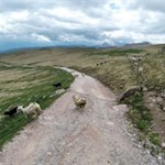 Auf dem Weg Nr. 2 zur Feltuner Hütte