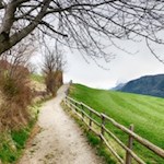 Sanft zieht sich der Poststeig nach St. Peter