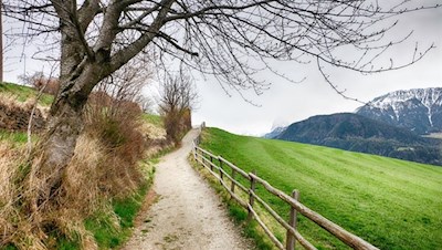 Sanft zieht sich der Poststeig nach St. Peter