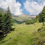 Die sanft ansteigenden Wege sind ideal für Ausflüge mit der ganzen Familie