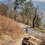 Von Pardell führt die Wanderung nach Verdings weiter