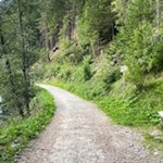 Auf der gegenüberliegenden Bachseite zum Pojer Wasserfall