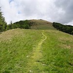 Der letzte Anstieg auf die Geige führt durch grüne Bergwiesen