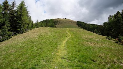 Der letzte Anstieg auf die Geige führt durch grüne Bergwiesen