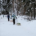 Auf dem Weg zur nahen Rodelbahn