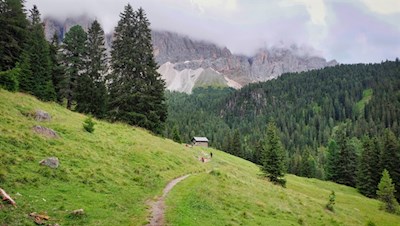 Il sentiero escursionistico che porta alla malga Dusler si snoda dolcemente