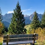 Panchina panoramica sulla strada per il rifugio La Marmotta