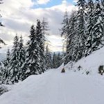 Flockendichte Winterpracht nahe der Moarhofalm