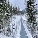 Über die Hängebrücke zum Karersee