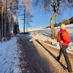Durch Wald und Wiesenlichtungen zum Karersee