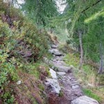 Über den steinbeschlagenen Steig in Richtung Klaussee
