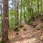 Von Altenburg führt der Römerweg zurück nach Tramin