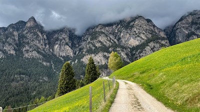 Vor der Kulisse des Mittagskofel zur Untertrumpedeller Schwaige