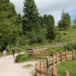 Der breite, sanft ansteigende Wanderweg zur Munt de Fornella