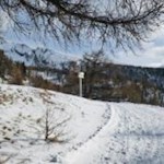 Genussvollen Schrittes zur Hühnerspiel Hütte