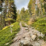 Wandern auf der Plose