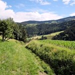 Durch Wald und Wiesen nach Rodeneck