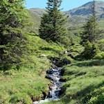 Biotop Außerwumblsmoos