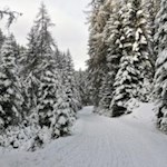 Villnösser Schneeparadies