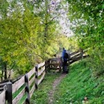 Holzgatter auf dem Weg nach Maria Saal