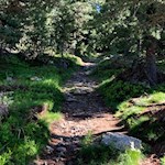 Der erste Anstieg zum Latzfonser Kreuz führt durch einen lichten Wald