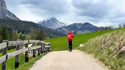 Wandern mit Hund auf dem Tru do l’ega