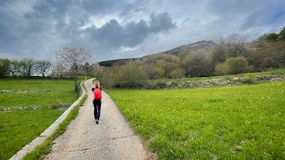 All'inizio dell'escursione sul monte Stivo