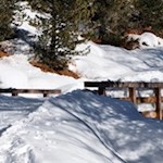 "Der Winter hat sich angefangen, der Schnee bedeckt das ganze Land" (Johann Rist)