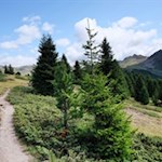 Blick auf die vor uns liegende Amperspitze und das neben uns aufragende Rudlhorn