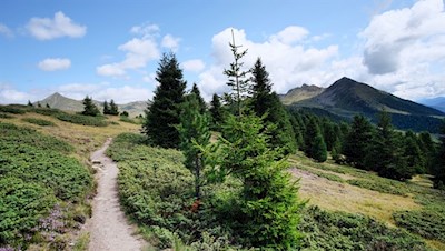 Blick auf die vor uns liegende Amperspitze und das neben uns aufragende Rudlhorn