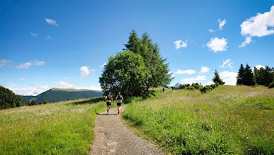 Von Compatsch folgt man zunächst dem Weg Nr. 30
