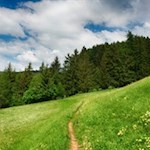 Auf dem Wiesenweg Nr. 10B