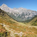 Vor der Kulisse des Tribulaun zurück zur Allrissalm