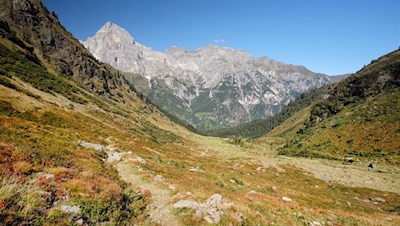 Vor der Kulisse des Tribulaun zurück zur Allrissalm