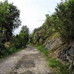 Der asphaltierte Weg endet kurz vor dem Forte San Alessandro