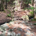 Durch einen schattigen Hain nach St. Michael