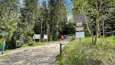 Am Beginn der Wanderung zur Messnerjoch Hütte 