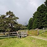 Sanft steigt der Weg in Richtung Rittner Horn an